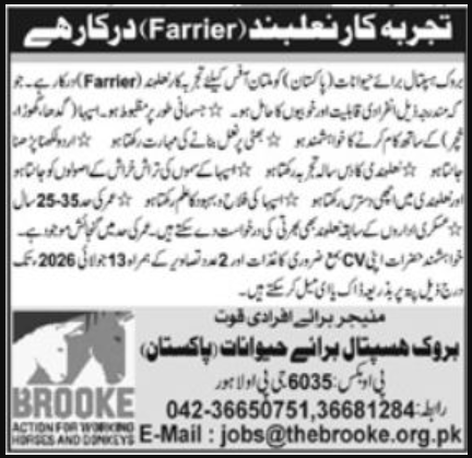 Brooke Hospital For Animals Pakistan Lahore Jobs 2026